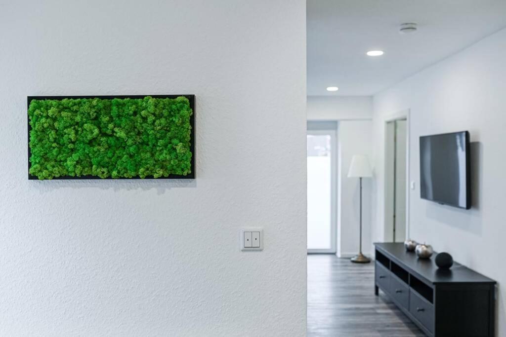 Ferienhaus Kopf In Bad Buchau Luaran gambar